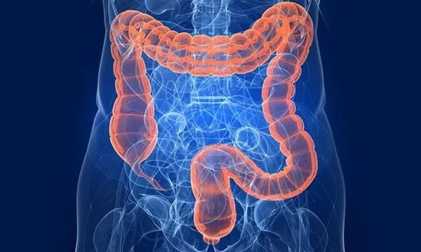 20-21.12.2024 двухдневная онлайн-эстафета Российской школы колоректальных хирургов - 49-м и 50-м вебинаре «Онкохирургическая эстафета от Калининграда до Владивостока»